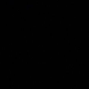 Meet your Posher, D’andre